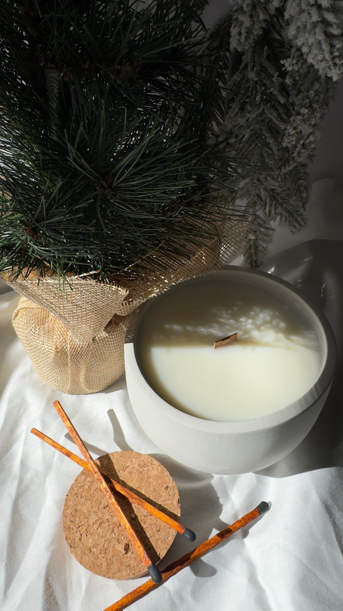 Noche Buena - 8oz ‘Tasa’ Concrete Candle